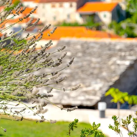 Villa Garden Splitska
